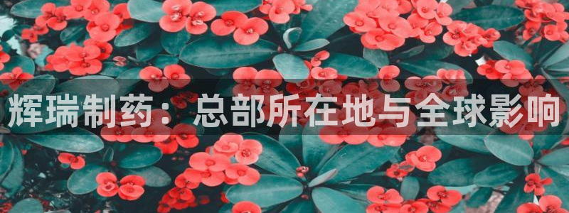 ag九游老哥俱乐部：辉瑞制药：总部所在地与全球影响