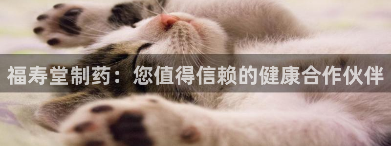 9游会老哥俱乐部：福寿堂制药：您值得信赖的健康合作伙伴