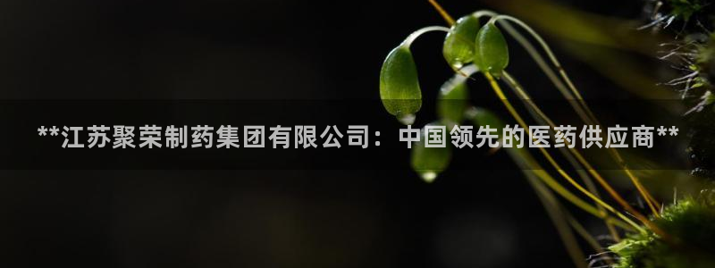 九游会老哥俱乐部论坛版：**江苏聚荣制药集团有限公司：中国领先的医药供应商**