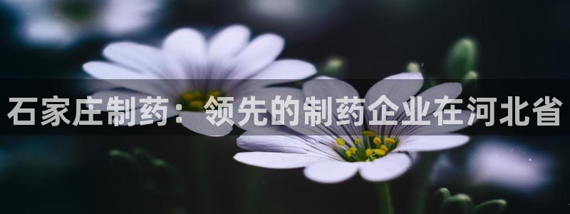 ag九游老哥俱乐部：石家庄制药：领先的制药企业在河北省