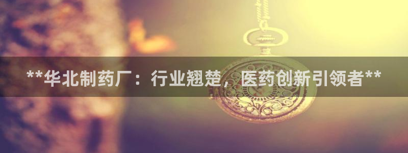 九游老哥俱乐部官网登录入口：**华北制药厂：行业翘楚，医药创新引领者**
