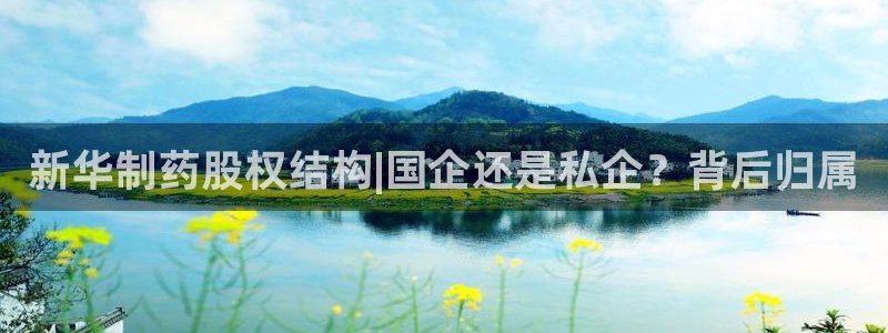 九游会老哥俱乐部社区论坛：新华制药股权结构|国企还是私企？背后归属