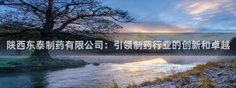 九游会老哥俱乐部官方网站：陕西东泰制药有限公司：引领制药行业的创新和卓越