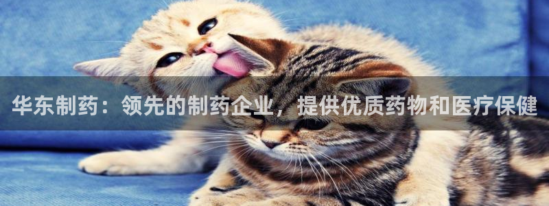 九游会老哥必备的交流社区九：华东制药：领先的制药企业，提供优质药物和医疗保健