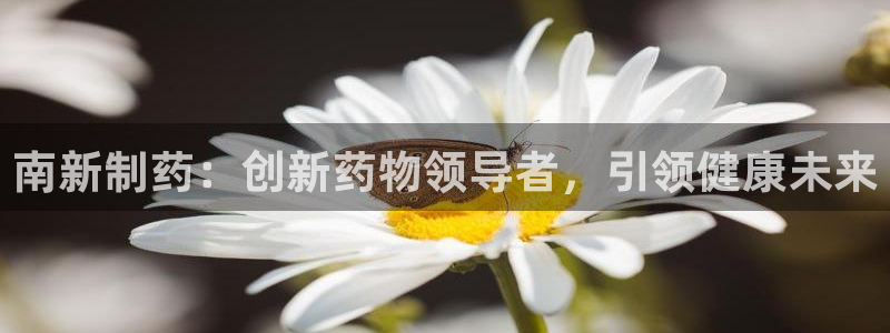 九游老哥俱乐部官网登录：南新制药：创新药物领导者，引领健康未来
