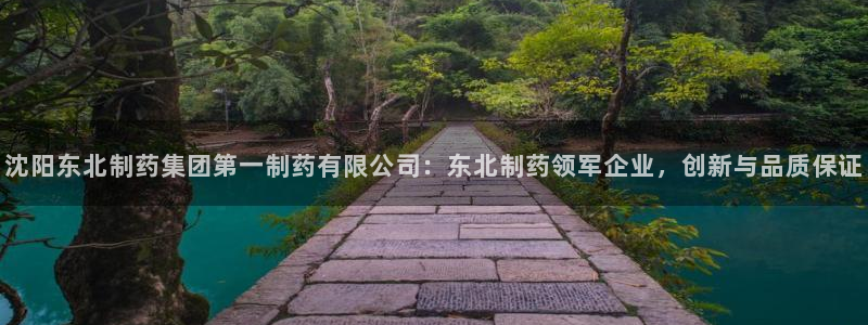 九游会老哥俱乐部社区论坛：沈阳东北制药集团第一制药有限公司：东北制药领军企业，创新与品质保证