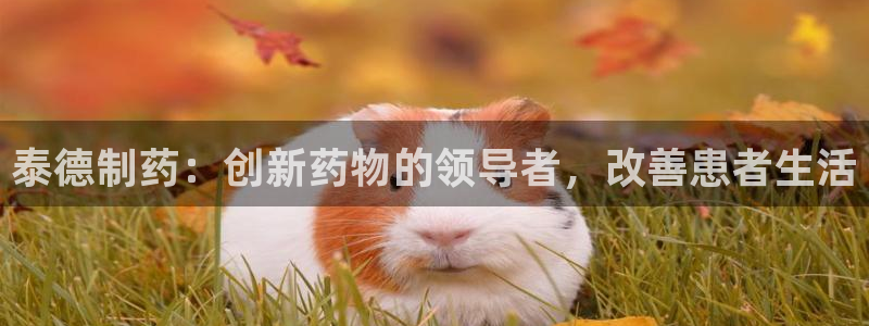老哥俱乐部是干什么的啊：泰德制药：创新药物的领导者，改善患者生活