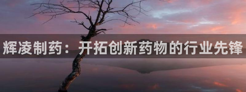 九游会老哥必备的交流社区：辉凌制药：开拓创新药物的行业先锋