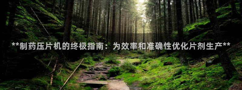 九游老哥俱乐部官网登录不了：**制药压片机的终极指南：为效率和准确性优化片剂生产**