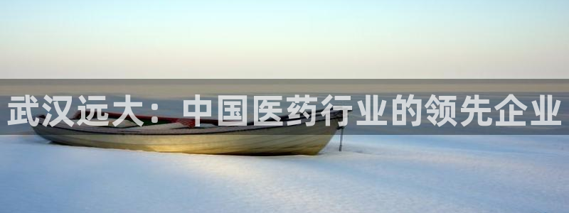 9游会老哥：武汉远大：中国医药行业的领先企业