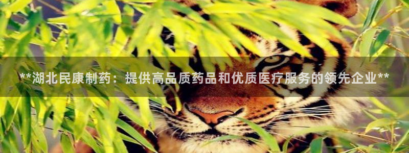 九游会老哥俱乐部交流社区：**湖北民康制药：提供高品质药品和优质医疗服务的领先企业**