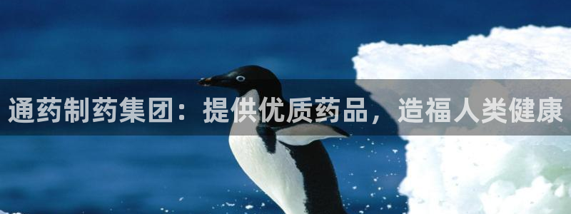 九游会老哥：通药制药集团：提供优质药品，造福人类健康