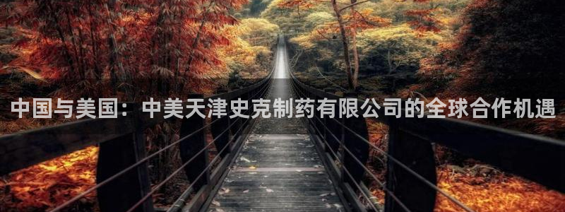 九游会老哥必备的交流社区：中国与美国：中美天津史克制药有限公司的全球合作机遇