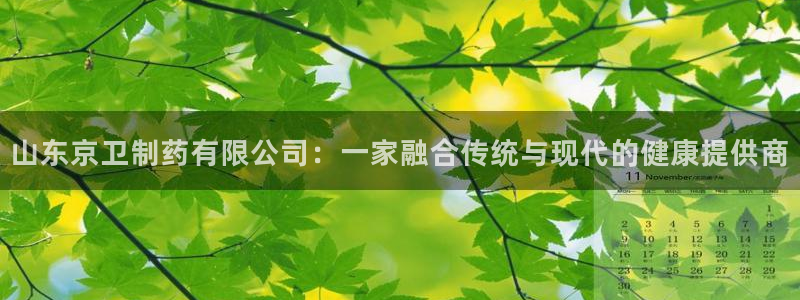 九游会老哥俱乐部：山东京卫制药有限公司：一家融合传统与现代的健康提供商