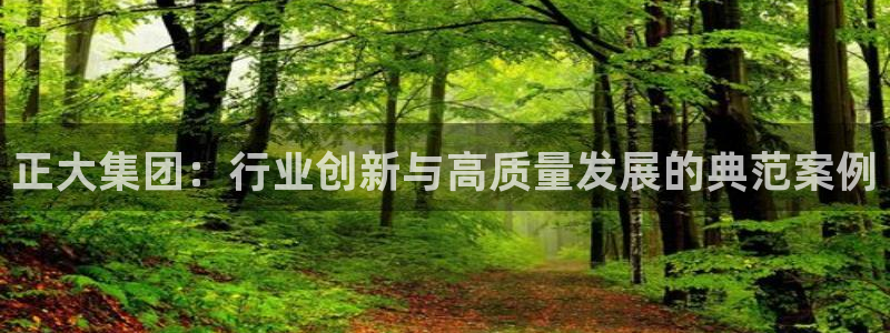 9游会老哥俱乐部：正大集团：行业创新与高质量发展的典范案例