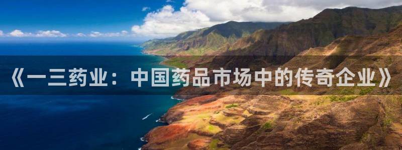 ag九游会老哥：《一三药业：中国药品市场中的传奇企业》