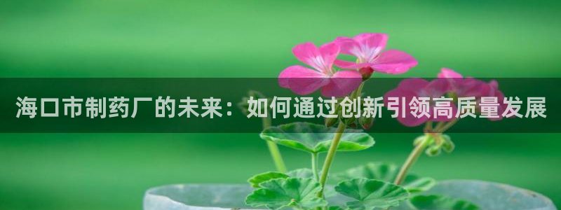 ag九游老哥俱乐部：海口市制药厂的未来：如何通过创新引领高质量发展