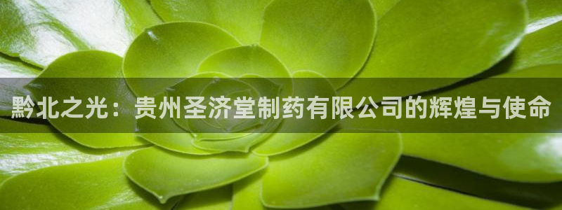 九游会老哥俱乐部官网首页：黔北之光：贵州圣济堂制药有限公司的