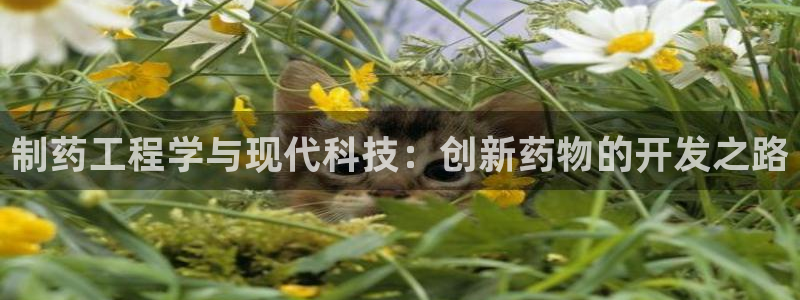 ag九游会老哥：制药工程学与现代科技：创新药物的开发之路