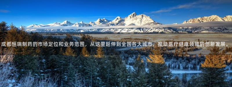 九游会老哥俱乐部社区论坛：成都恒瑞制药的市场定位和业务范围，从这里延伸到全国各大城市，推动医疗健康领域的创新发
