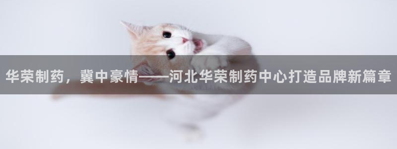 九游老哥俱乐部官网登录：华荣制药，冀中豪情——河北华荣制药中心打造品牌新篇章