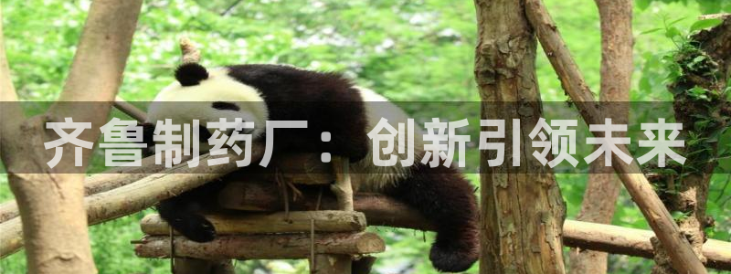 j9九游会老哥俱乐部交流区：齐鲁制药厂：创新引领未来