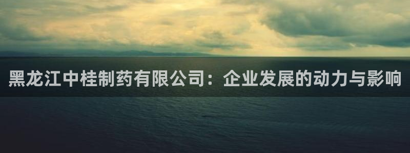 9游会老哥：黑龙江中桂制药有限公司：企业发展的动力与影响