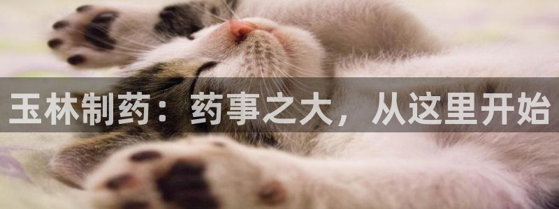 九游会老哥俱乐部官网：玉林制药：药事之大，从这里开始