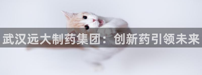 九游会老哥俱乐部官网首页论坛：武汉远大制药集团：创新药引领未来