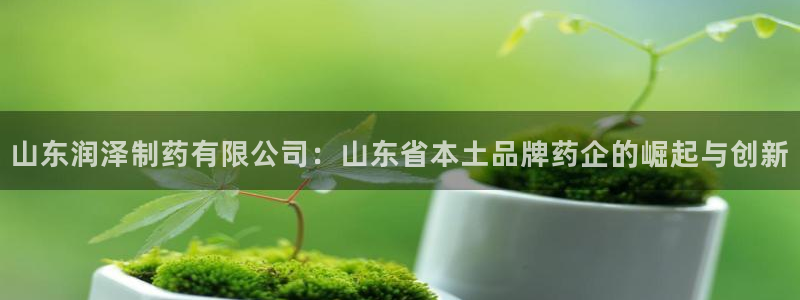 九游会老哥必备的交流社区九：山东润泽制药有限公司：山东省本土品牌药企的崛起与创新