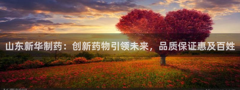 ag九游老哥俱乐部：山东新华制药：创新药物引领未来，品质保证惠及百姓