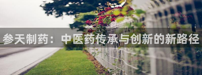 usdt九游会老哥俱乐部：参天制药：中医药传承与创新的新路径