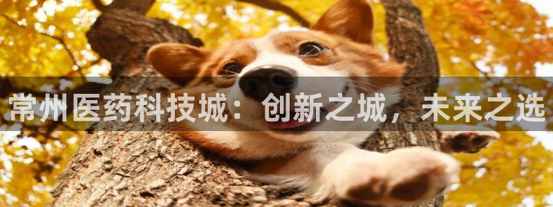 九游会老哥俱乐部官网：常州医药科技城：创新之城，未来之选