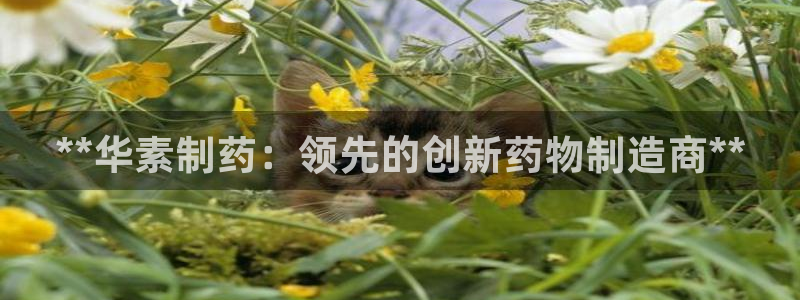 九游会老哥必备的交流社区九：**华素制药：领先的创新药物制造商**