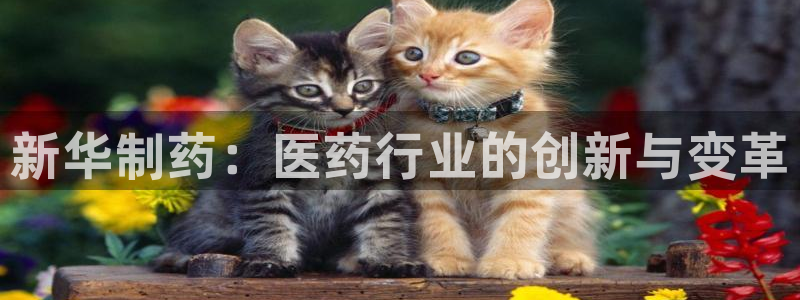 老哥俱乐部是干什么的啊：新华制药：医药行业的创新与变革