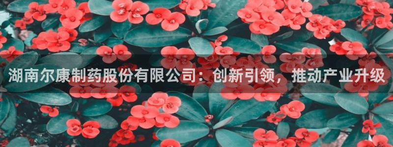 九游会老哥俱乐部社区论坛：湖南尔康制药股份有限公司：创新引领，推动产业升级