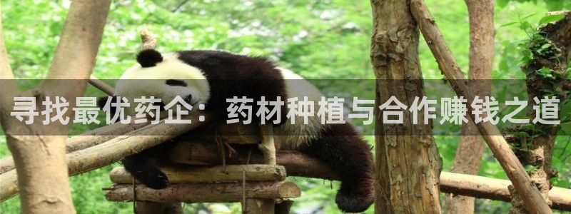 九游老哥俱乐部登录：寻找最优药企：药材种植与合作赚钱之道