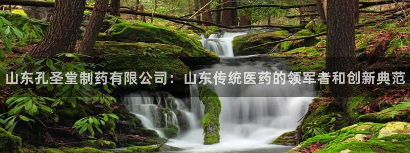 usdt九游会老哥俱乐部：山东孔圣堂制药有限公司：山东传统医药的领军者和创新典范