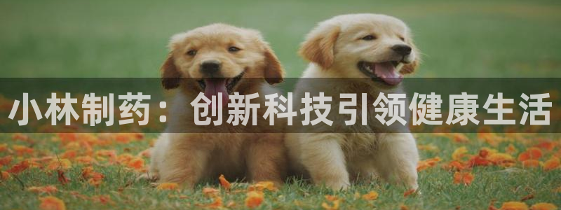 ag九游会老哥俱乐部：小林制药：创新科技引领健康生活