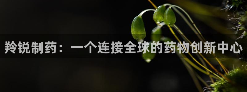 九游会老哥俱乐部交流社区：羚锐制药：一个连接全球的药物创新中心