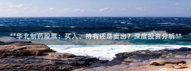 九游会老哥俱乐部：**华北制药股票：买入、持有还是卖出？深度投资分析**