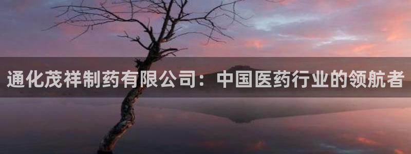 九游会老哥俱乐部：通化茂祥制药有限公司：中国医药行业的领航者