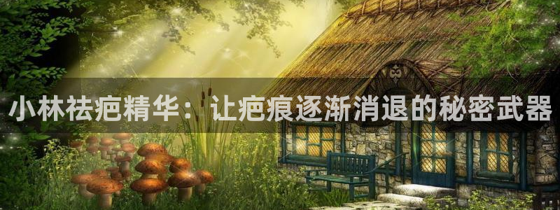 ag九游会老哥：小林祛疤精华：让疤痕逐渐消退的秘密武器