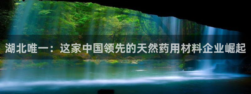 ag九游会老哥：湖北唯一：这家中国领先的天然药用材料企业崛起