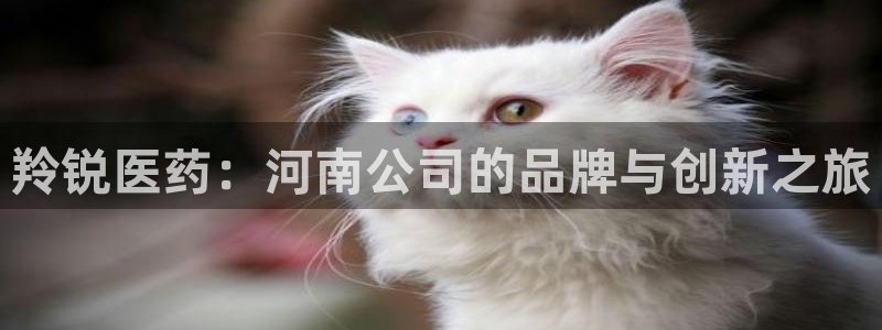 九游老哥俱乐部官网登录