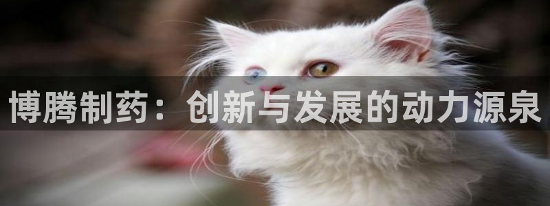 九游老哥俱乐部官网登录入口：博腾制药：创新与发展的动力源泉