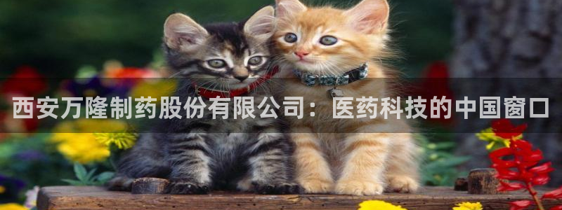 九游老哥俱乐部官网登录入口：西安万隆制药股份有限公司：医药科